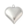 304 Stainless Steel Pendants STAS-S186-06B-P-1