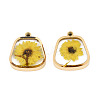 304 Stainless Steel Epoxy Resin Pendants STAS-T072-28-2