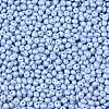 6/0 Glass Seed Beads SEED-L011-08A-23-3