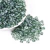 Transparent Colours Glass Seed Beads SEED-Q042-01A-A10-1