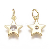 Brass Micro Pave Cubic Zirconia Charms X-ZIRC-F111-09G-08-2