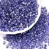 Baking Paint Transparent Glass Seed Beads SEED-N006-05H-1