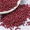 MIYUKI Round Rocailles Beads X-SEED-G008-RR0425-1