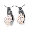 Snail Natural Conch Shell Fossil Brooch Pin JEWB-A020-02AS-03-1