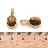 Brass Tiger Eye Pendants KK-B129-10G-3