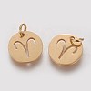 304 Stainless Steel Charms STAS-Q201-T445-1G-2