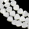 Natural Trochid Shell/Trochus Shell Beads Strands SH-CBA2978-19B-2