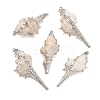 5Pcs Electroplate Natural Spiral Shell Pendants BSHE-YW0001-12-1