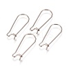 Tarnish Resistant 304 Stainless Steel Hoop Earrings Findings Kidney Ear Wires LS-STAS-L216-22B-P-1
