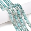 Natural Amazonite Beads Strands G-G980-36A-2