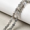 Natural Labradorite Beads Strands G-H336-A08-05-1
