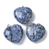 Natural Blue Spot Jasper Pendants G-A259-02P-08-1