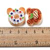 Imitation Food Resin Decoden Cabochons X-CRES-R199-04-3