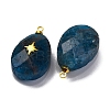 Natural Apatite Pendants X-G-B089-01G-03-2