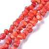 Natural Magnesite Beads Strands TURQ-P001-02A-10-1