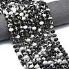 Natural Australia Zebra Jasper Beads Strands G-P573-A51-01-1