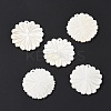 Natural Freshwater Shell Pendants SHEL-H001-06-2