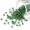8/0 Glass Seed Beads SEED-US0003-3mm-27-1