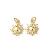 Brass Pendants KK-D019-06G-1