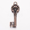 Alloy Pendants EA11972Y-R-1