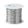 Non-Tarnish 316 Surgical Stainless Steel Wire TWIR-L004-01E-P-1