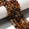 Dyed & Heated Natural Banded Agate Beads Strands G-P539-F01-04-2