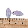 Natural Rainbow Alashan Agate Pendants G-G194-03-4