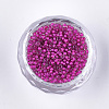 12/0 Grade A Round Glass Seed Beads SEED-N001-D-10/207-2