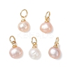 Natural Cultured Freshwater Pearl Two Sides Polished Charms PALLOY-JF04916-01-1
