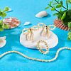 1 Strand Natural Trochus Shell Rondelle Beads Strands SSHEL-TA0001-16B-7
