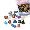 240G 12 Styles Natural Mixed Gemstone Chip Beads G-FS0005-64-4
