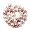 Shell Pearl Beads Strands BSHE-F013-01P-2