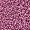 MIYUKI Round Rocailles Beads SEED-G007-RR0645-3