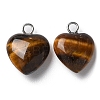 Natural Tiger Eye Pendants X-G-E603-01P-06-2