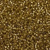 MIYUKI Delica Beads X-SEED-J020-DB0909-4