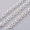 Iron Rolo Chains CHT103Y-S-1