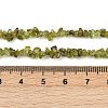 Natural Peridot Beads Strands X-G-P332-48-02-4