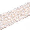 Natural Cultured Freshwater Pearl Beads Strands LS-PEAR-N012-02N-5