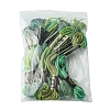 12 Skeins 6 Colors 6-Ply Polyester Embroidery Floss OCOR-FS0001-01B-04-6