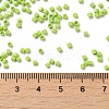 Opaque Glass Seed Beads SEED-S042-22B-03-4