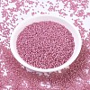 MIYUKI Round Rocailles Beads SEED-X0054-RR0556-2