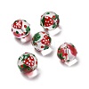 Handmade Glass Enamel Beads Strands LAMP-A001-A10-1