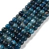 Natural Agate Beads Strands G-M437-C01-01B-2