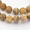 Natural Picture Jasper Beads Strands LS-G-D659-6mm-1