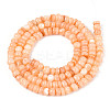 Natural Freshwater Shell Dyed Beads Strands SHEL-T020-29A-07-2