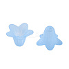 Transparent Acrylic Beads X-PLF018-06-5