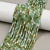 Natural Chrysoprase Beads Strands LS-G-M389-22-1