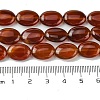 Natural Carnelian(Dyed & Heated) Beads Strands G-K365-B01-01-5