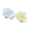 Frosted Transparent Acrylic Beads OACR-A032-13C-2