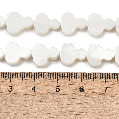 Natural Freshwater Shell Beads Strands SHEL-K010-02B-1